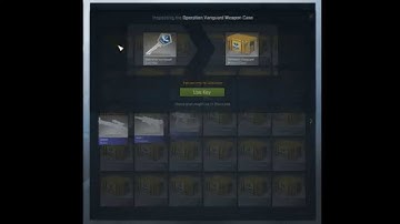 Operation Vanguard Case Opening CSGO