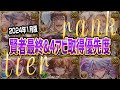 【グラブル】2024年1月版！十賢者最終&4アビ取得優先度ランク表まとめ【GBF】