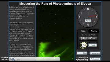 Virtual Lab Photosynthesis Tutorial