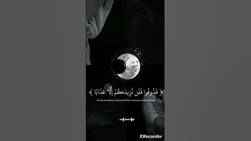 سورة النبأ بصوت القارئ عبد الرحمن مسعد #قرآن