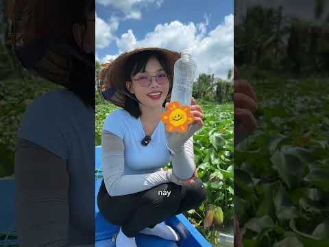 Giăng câu bằng chai trên sông Đồng Nai #caucachill #fishing #caucathugian #caucamuamua