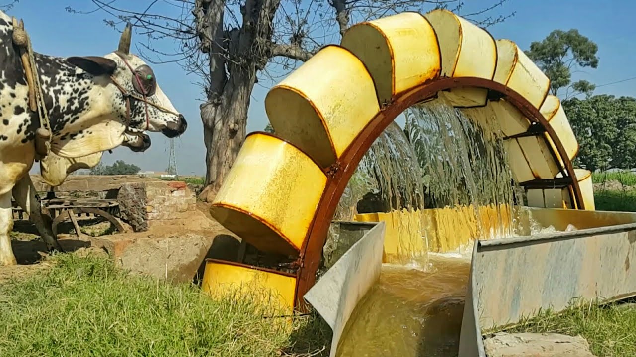 Old Irrigation Method Of Punjab Water Wheel Irrigation System Water