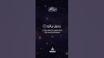 Amazing Relaxing voice , Listen To The Quran, Surah An-Najm by QARI HAMZA AHMED | سورة النجم