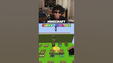 Minecraft Guess The Block #9