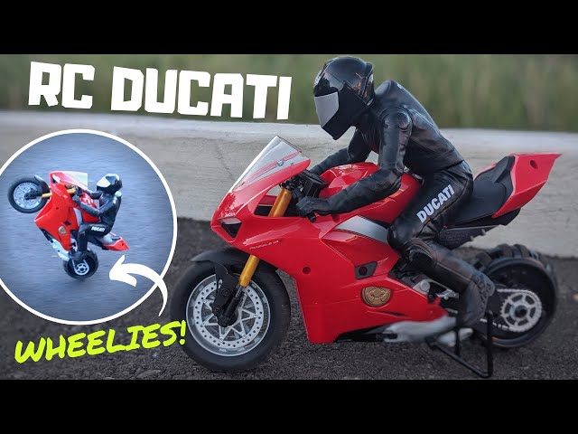 Moto télécommandée Ducati 1/6 ème Motor & Co R/C : King Jouet