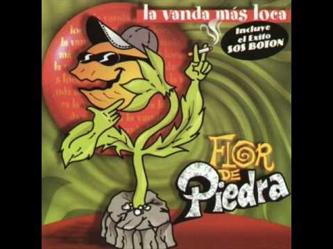 flor de piedra - la cumbia de los vagos