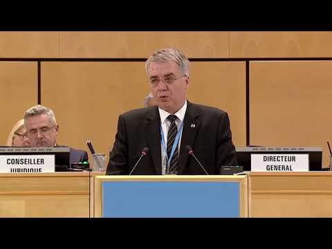 დავით სერგეენკო ჯანმოს 71-ე სხდომაზე სიტყვით გამოვიდა