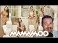 MAMAMOO: I Say Mamamoo - The Best [PT 1] | REACTION | ALBUM OF THE WEEK