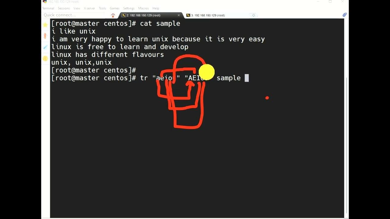 Unix commands ( Path 5 ) YouTube