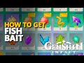 How to get Fish Bait Genshin Impact 
