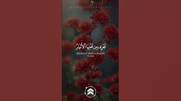 قران كريم