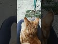 ВЕЧЕР 28 АВГУСТА