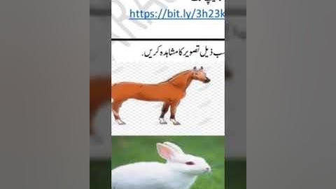 BRIDGE COURSE (ENVIRONMENT)DAY 2ND STD 3RD مطالعہ دوسرا دن جماعت سوّم برج کورس ( ماحول کا