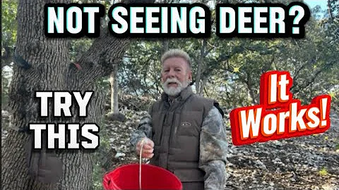 My Secret to Seeing DEER!