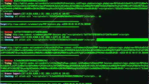 XSSer: Dorking and exploiting XSS injections