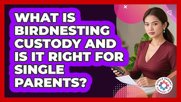 What Is Birdnesting Custody And Is It Right For Single Parents? - Single Parent Support Hub