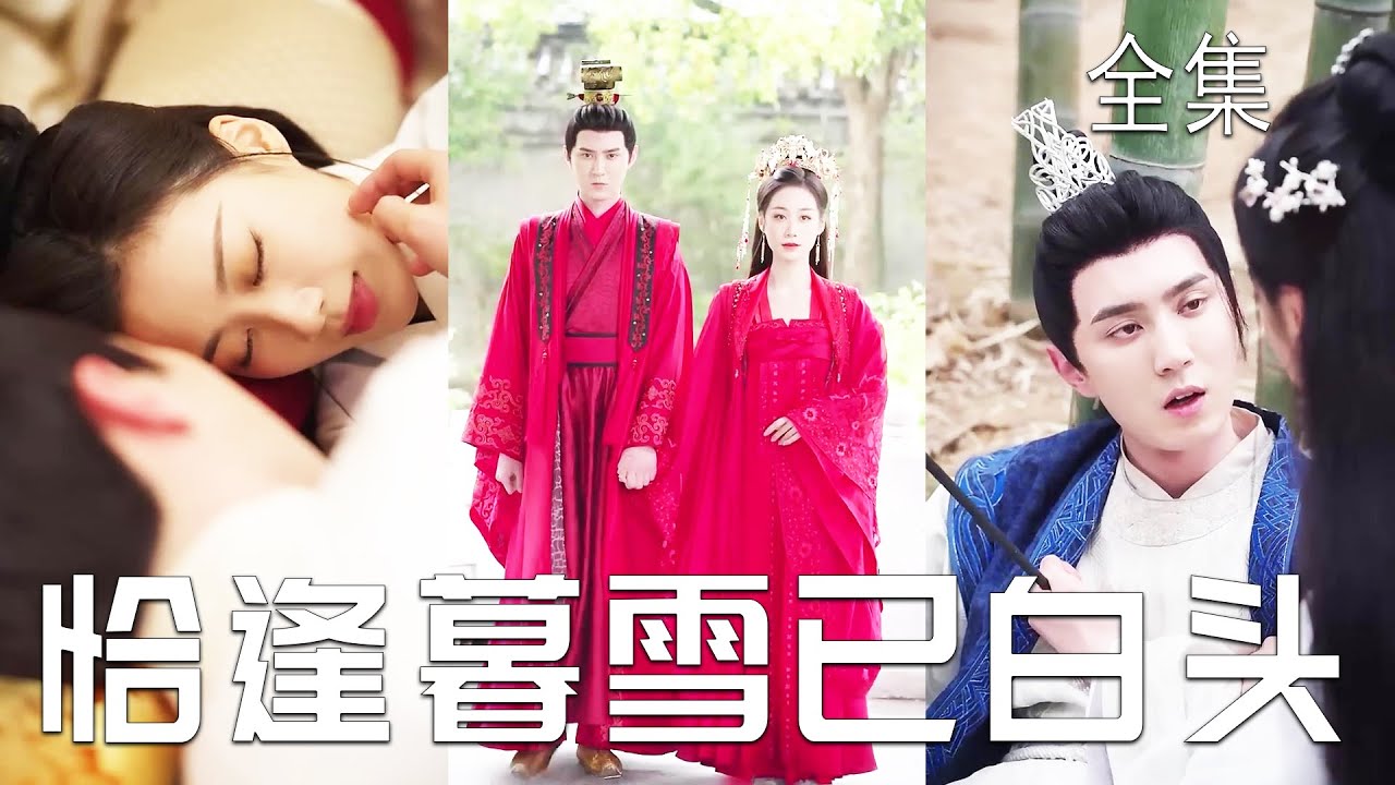 复仇公主的甜宠爱情故事