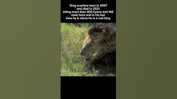Thumbnail of Story of lord king scarface #viralvideo #shorts