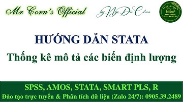 Hướng dẫn STATA | Thống kê mô tả các biến định lượng trên STATA 31102025