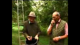 a short film about damsons by innocent drinks