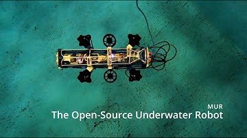 The Miniature Underwater Robot (MUR)