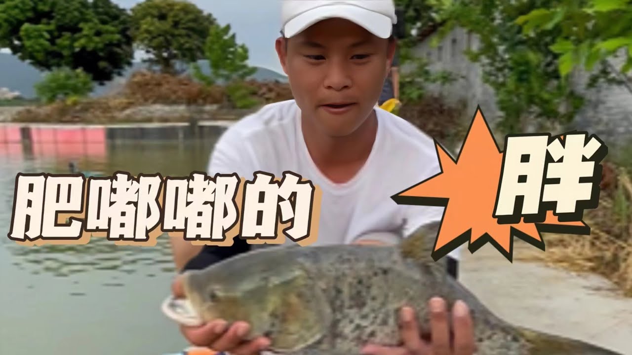 肥嘟嘟的胖鱼#釣魚 #fishing - YouTube