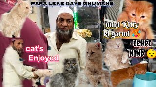 Papa Lekar Gaye Billu Aur Mujhe Ghumane  | Mini Kitty Ko Kitni Garmi Lagti He