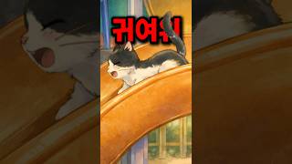 사람 없을 때만 나타나는 고양이의 비밀 놀이