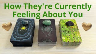 🙇HOW DO THEY FEEL ABOUT YOU NOW? 💐PICK A CARD 😘 LOVE TAROT READING 💃TWIN FLAMES 👫 SOULMATES