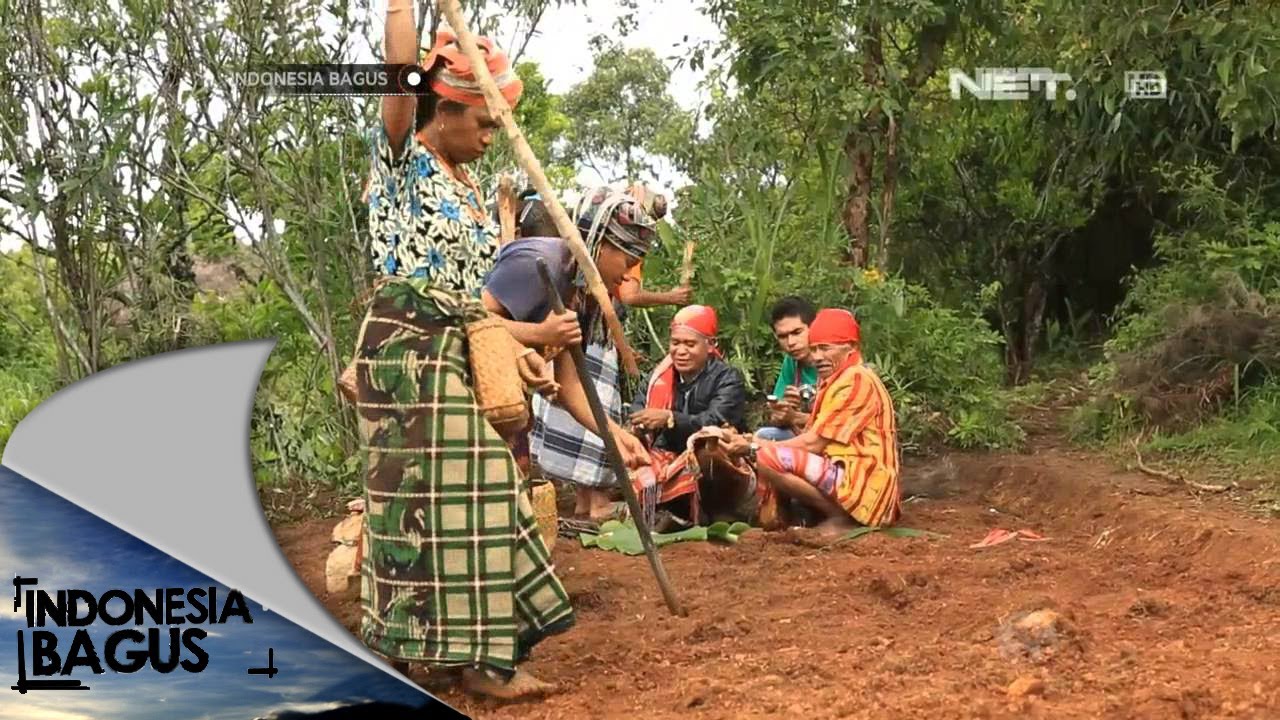 Indonesia Bagus - Desa Fatumnasi NTT
