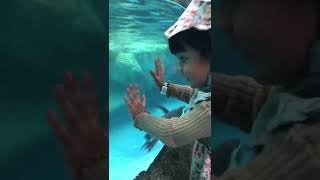 Download Lagu melihat penguin di taman safari indonesia MP3