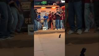 कय Niharika Maam Game जत पएग