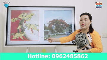 Tập làm văn 4 - Luyện tập xây dựng mở bài trong bài văn miêu tả cây cối