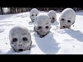 Criaturas Terroríficas Halladas Congeladas en la Antártida