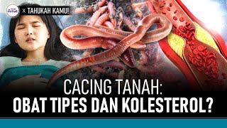 Sederet Hewan yang Bisa Dijadikan Obat, Termasuk Cacing Tanah? | Hidup Sehat tvOne