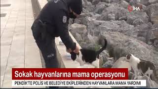 Polis ve Belediye ekiplerimizden sokak hayvanlarına mama desteği - 📺 NTV