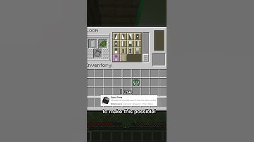 Custom Elytra V2 #minecraft #shorts #buildhacks