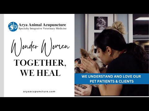 Integrative Veterinary Wonder Women Work Together To Heal Pets in Chicagoland | Dr Priya Bhatt