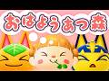 島クリしたい🌾朝活🐓おはようあつ森！9/29(火)
