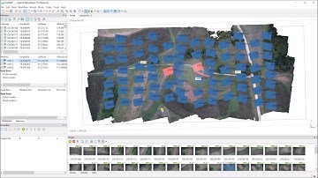TUTORIAL Agisoft Metashape - orthophoto and DSM generation (with GCPs)
