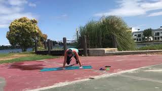 Push-up With Oblique Crunch