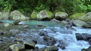 Natural Water Sounds for Focus and Productivity | River Flow