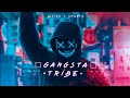 Gangsta tribeking ft smarty hamza prodby karan official lyrical  tiktok trolled 