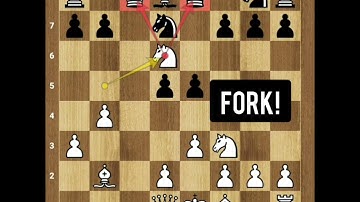 Sokolsky kills his opponent with Orangutan opening 🦍