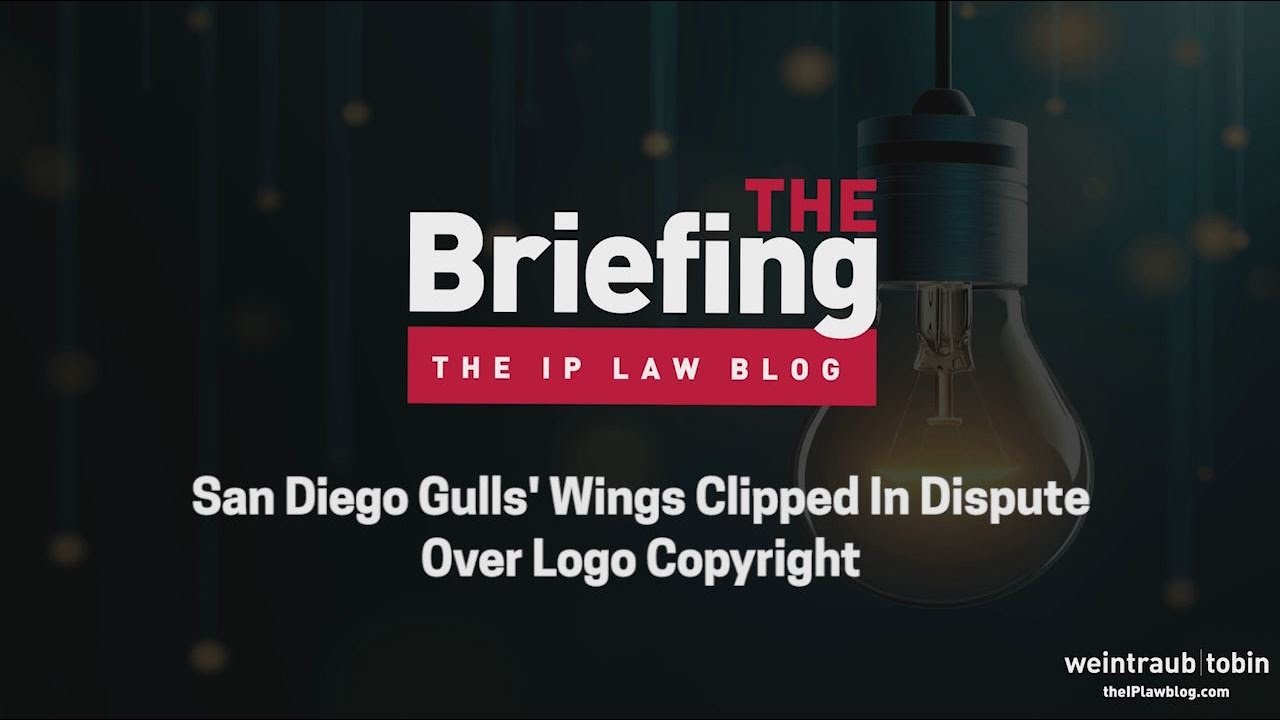 The Briefing by the IP Law Blog: San Diego Gulls’ Wings Clipped in Dispute Over Logo Copyright
