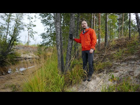 Видео: Стащили ФОТОЛОВУШКУ. ЛОСИ, ПТИЦЫ и ЗАЯЦ в КАДРЕ. ДИКИЕ МЕСТА. Начало снежного года. Завершаю сезон.