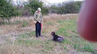 Gerry Od Gložinića 5