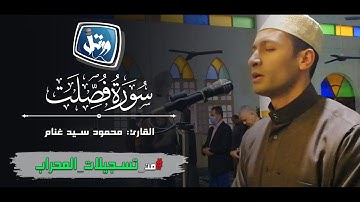 جديد | ورتل| القارئ محمود غنام | سورة فصلت