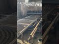 Fully Automatic Chicken Cage Wire Mesh Welding Machine Cage Making Machine #machine #welding machine