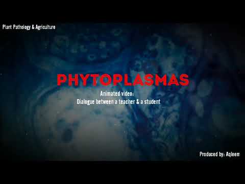 Animated video on Phytoplasmas | Introduction | Symptoms on Plants | Control